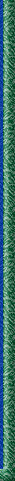 reiki border